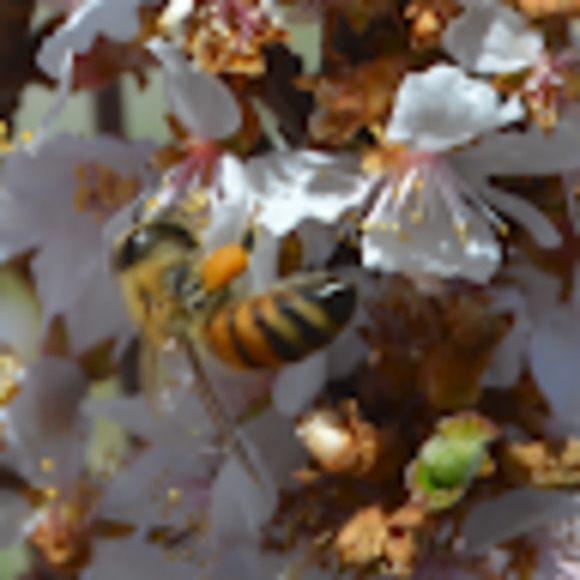 Meet your Posher, Barbara - Picture 1 of 1